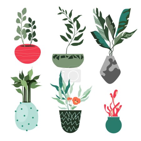 Illustration for Home plants in a flower pot. Houseplants isolated. Trendy hugge style, urban jungle decor. Drawn by hand. Collection of sets. - Royalty Free Image