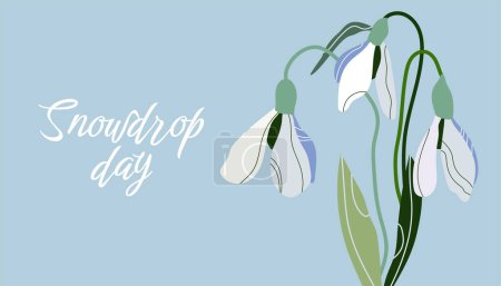 Illustration for Snowdrop Day. Flowers are white snowdrops with leaves. Spring is coming. Vector illustration isolated on blue background - Royalty Free Image
