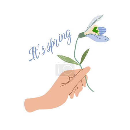 Illustration for It is spring. Snowdrop in hand. Illustration of a flower in a woman's hand.Vector floral card. - Royalty Free Image