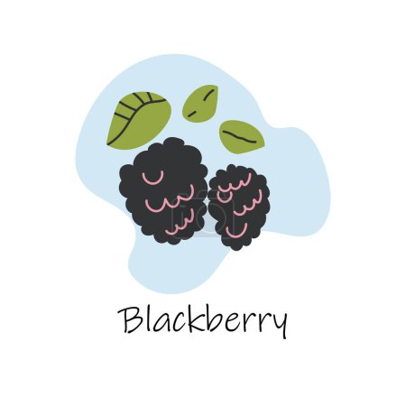 Illustration for Vector hand drawn isolated blackberry with lettering. Flat illustration. Ripe berries.Cartoon style.Flat blackberry icon, logo for web, design, packaging. - Royalty Free Image