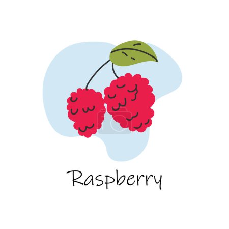 Illustration for Vector hand drawn isolated raspberry with lettering. Cartoon style.Flat raspberry icon, logo for web, design, packaging. - Royalty Free Image