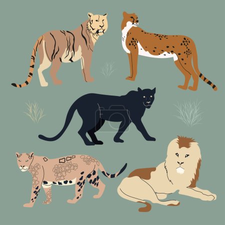 Téléchargez les illustrations : Ensemble de différents animaux félins. Lion, panthère, guépard, tigre, jaguar. Illustration vectorielle plate sur fond sombre. - en licence libre de droit