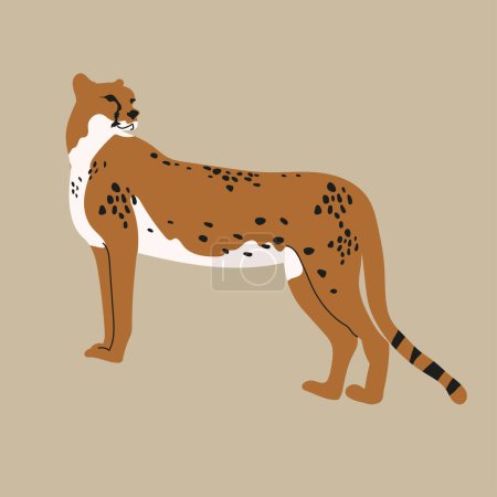 Téléchargez les illustrations : Illustration vectorielle d'un guépard africain sur fond beige. Vue latérale. - en licence libre de droit