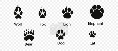 Illustration for Vector set of wild wood animal tracks. Animal paw prints, vector different animals footprints black on white illustration. checkered background. - Royalty Free Image