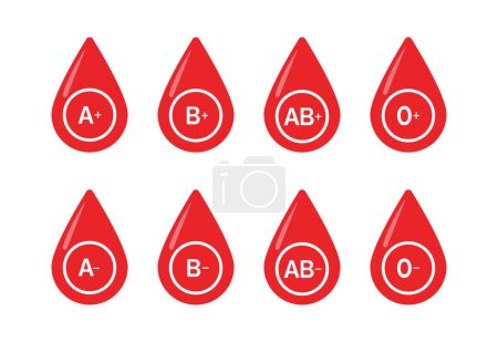Illustration for Blood group vector icons isolated on white. Group of blood pictogram. O, A, B, AB positive and negative type of blood pictogram set. Bleed Donation Concept.Vector Illustration. - Royalty Free Image