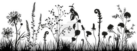 Illustration for Background with black silhouettes of meadow wild grass and wildflowers. Floral background. Nature decor element for banners, advertising, leaflet, cards, invitation, congratulation and so on. - Royalty Free Image