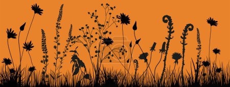 Illustration for Background with black silhouettes of meadow wild grass and wildflowers on orange background. Nature decor element for banners, advertising, leaflet, cards, invitation, congratulation and so on. - Royalty Free Image