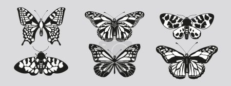 Schmetterlingsgruppe mit schwarzen und weißen Flügeln im Stil gewellter Linien und organischer Formen. Ästhetik im Y2k-Stil, Flügelformen in der Frontansicht, Sammlung magischer Symbole, abstrakte Illustration. Vektor