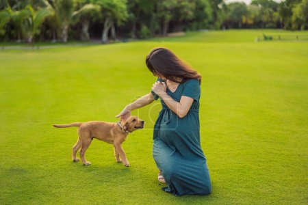 Téléchargez les photos : Une femme enceinte sereine et rayonnante après 40 ans et son chien, entouré par la beauté de la nature dans le parc, chérissant le voyage de la maternité avec un sourire lumineux. - en image libre de droit