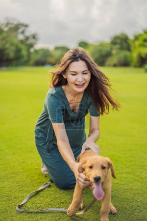Foto de Una mujer embarazada serena y radiante después de los 40 años y su perro, rodeados de la belleza de la naturaleza en el parque, acariciando el viaje de la maternidad con una sonrisa brillante. - Imagen libre de derechos