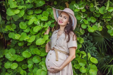 Foto de Una mujer embarazada serena y radiante después de los 40 años, rodeada de la belleza de la naturaleza en el parque, apreciando el viaje de la maternidad con una sonrisa brillante. - Imagen libre de derechos