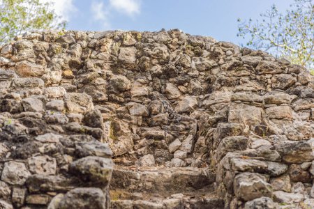 Iguana, lézard Coba, Mexique. Ancienne ville maya au Mexique. Coba est une zone archéologique et un point de repère célèbre de la péninsule du Yucatan. Ciel nuageux sur une pyramide au Mexique.