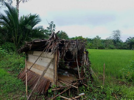 simple hut for shelter