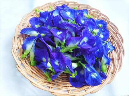 butterfly pea flowers, can be used as tea for herbal drinks