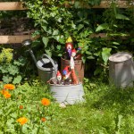 arm garden with zinc watering can and marigolds