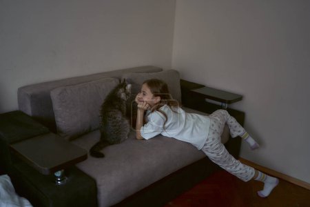 Téléchargez les photos : Fille joue avec un chat - en image libre de droit
