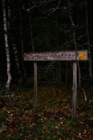 Wegweiser im dunklen Wald im regnerischen Norwegen