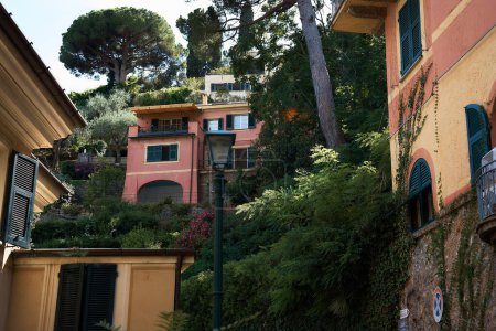    calles de Portofino, el ambiente del verano italiano                     