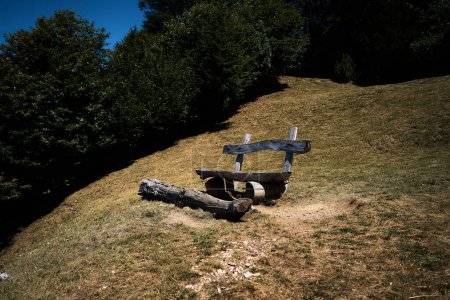           wooden bench and a dry fallen tree on a hillside, a relaxing location with a view of lake como                 