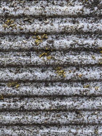 fondo, una textura de valla de cemento acanalado con llamas de lluvia y liquen, grunge
