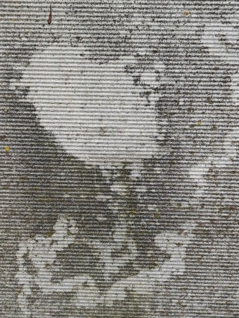 fondo, una textura de valla de cemento acanalado con llamas de lluvia y liquen, grunge