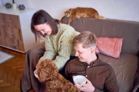 Téléchargez les photos : Un couple buvant des tasses sur le canapé dans le salon, chat roux dormant sur le canapé, cockapoo buvant également de la tasse de maman - en image libre de droit