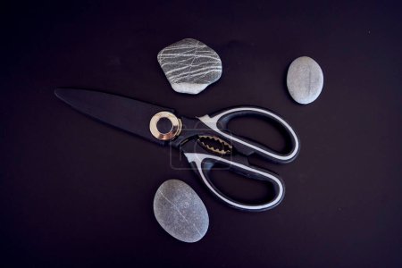 a kitchen scissors in a protective case on a black background