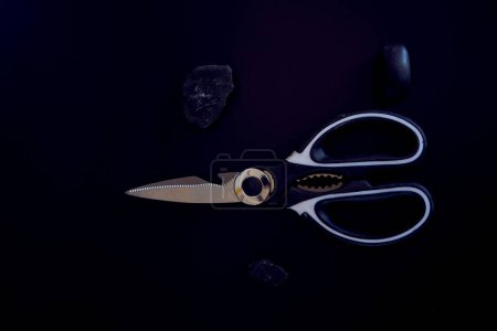 a   kitchen scissors with a jagged blade on a black background                    