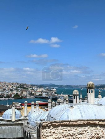 Téléchargez les photos : Istanbul, Turquie - 7 juin 2023 : vue sur les toits et les baies d'Istanbul depuis la colline - en image libre de droit