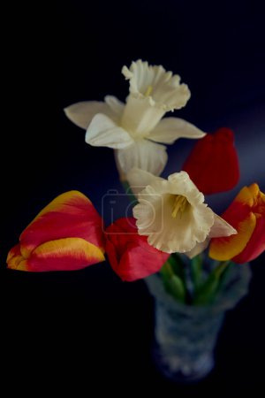Photo for The tulips and daffodils in a crystal vase on a black background - Royalty Free Image