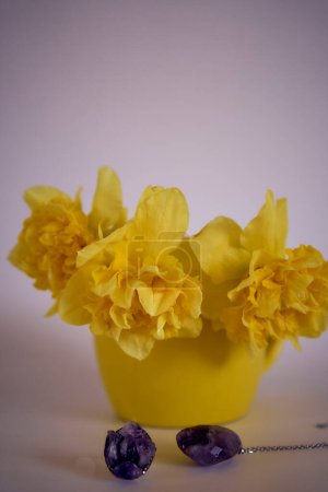    flower arrangement of yellow daffodils  in a yellow cup on a pink background                            