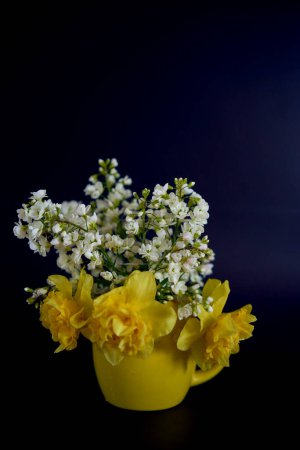 a  flower arrangement of yellow daffodils and white Arabis Caucasica in a yellow cup on a black background                     