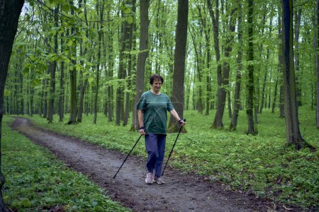 Téléchargez les photos : Une femme âgée est engagée dans la marche nordique avec des bâtons dans la forêt de printemps - en image libre de droit