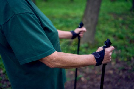an elderly woman is engaged in Nordic walking with sticks in the spring forest