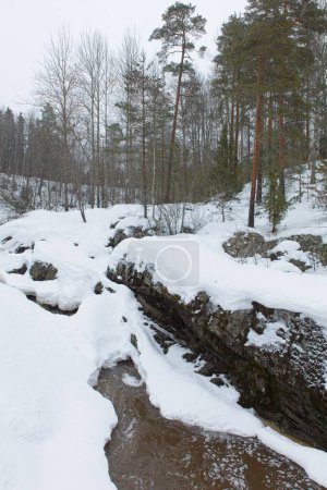 Foto de Vista del río Mustijoki en invierno con nieve en el suelo, Lahankoski, Pornainen, Finlandia. - Imagen libre de derechos