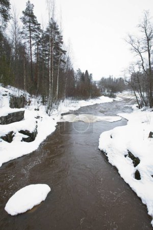 Foto de Vista del río Mustijoki en invierno con nieve en el suelo, Lahankoski, Pornainen, Finlandia. - Imagen libre de derechos
