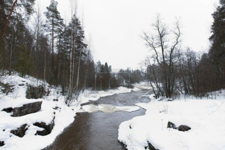 Téléchargez les photos : Vue de la rivière Mustijoki en hiver avec neige sur le sol, Lahankoski, Pornainen, Finlande. - en image libre de droit