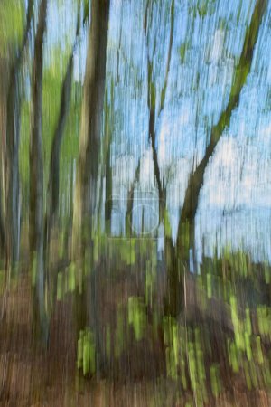Intentional camera movement (ICM) of trees on lake shore in sunny spring weather, Pijnne, Finland.