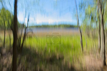 Intentional camera movement (ICM) of lake shore in sunny spring weather, Pijnne, Finland.