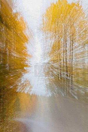 ICM Intentional camera movement with long exposure of colorful trees and road with leaves on the ground in autumn.