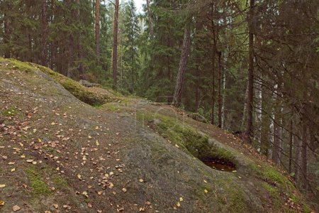 Teteras cilíndricas Talvia Giants (caldero gigante, bache de moulin o bache glacial) perforadas en roca sólida en el bosque en otoño con hojas en el suelo, Lohja, Finlandia.