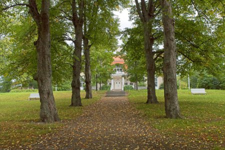 Chemin de gravier avec arbres plantés au parc du manoir Hakunila par temps nuageux d'automne, Vantaa, Finlande.