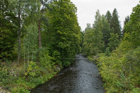 Landschaftsaufnahme des Flusses Vehkajoki mit Bäumen entlang des Flusses bei bewölktem Sommerwetter, Hamina, Finnland.
