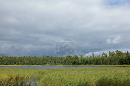 Seashore with reeds on the island of Linlo with in cloudy in the sky in autumn, Kirkkonummi, Finland.