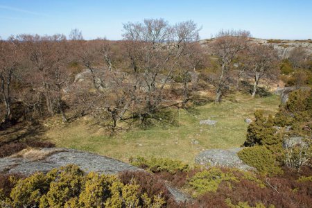 Otterbte âge du bronze établissement au bas d'une colline, était un établissement de chasseurs de phoques. Il se compose des restes de neuf huttes rondes, plusieurs tas de déchets et un peu bien sur l'île de Kkar au printemps, Finlande.