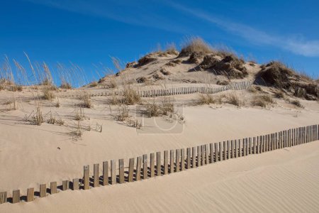 Cerca de dunas de arena en la playa de Yyteri en primavera, Pori, Finlandia.