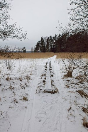 Duckboard path leading to Morsfjrd bird watch tower in cloudy winter weather, Kirkkonummi, Finland. 