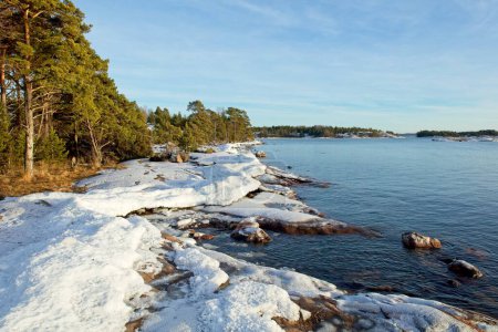 Photo for Winter seashore with water, ice, snow, trees and rocks, Kopparnas, Finland. - Royalty Free Image