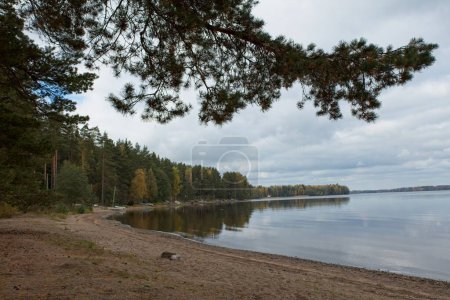 Costa del lago de arena con cielo nublado en otoño en el lago Kuivajrvi, Parque Nacional Liesjrvi, Tammela, Finlandia.