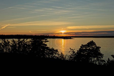 Coucher de soleil avec des nuages dans le ciel en automne avec des silhouettes d'arbres au bord de la mer sur l'île de Torra Lv, Espoo, Finlande.